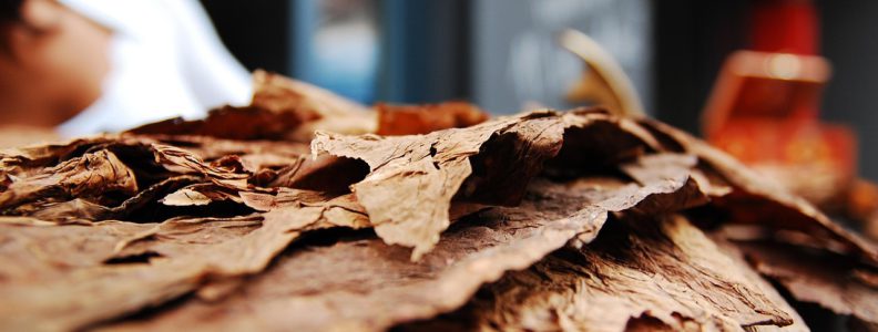 dry-leaf
